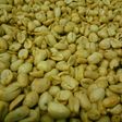 Kacang bawang (bakasem)😅