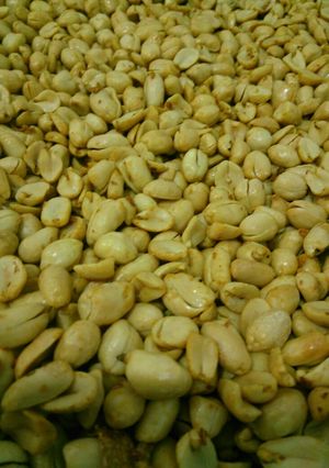 Foto resep Kacang bawang (bakasem)😅