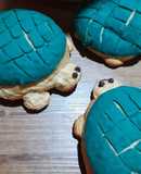 Tortuconchas y conchas tradicionales