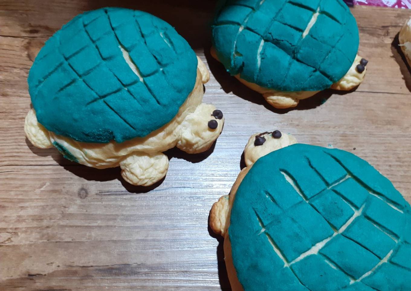 Tortuconchas y conchas tradicionales