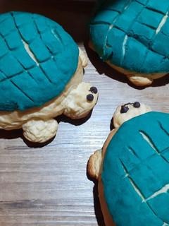 Una foto de Tortuconchas y conchas tradicionales