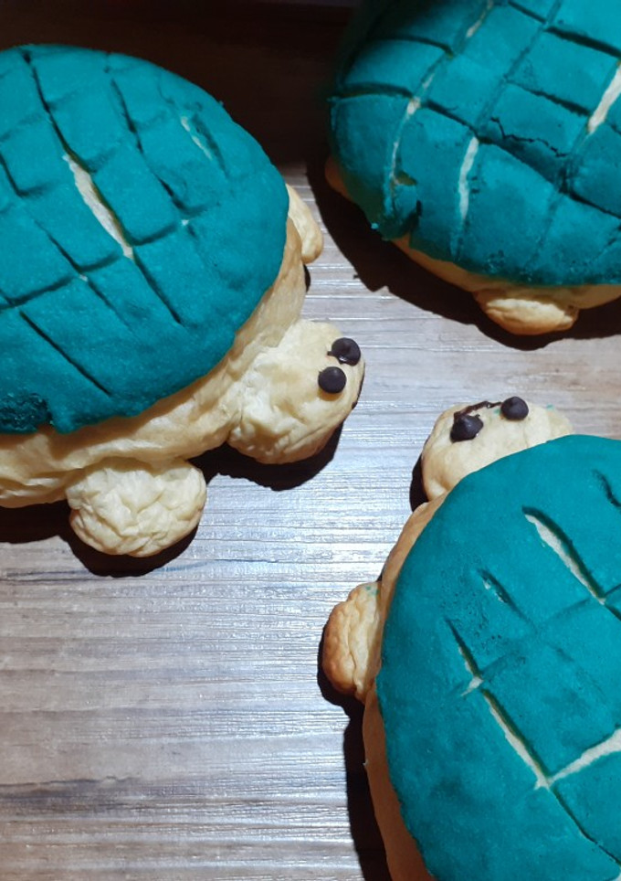 Una foto de Tortuconchas y conchas tradicionales