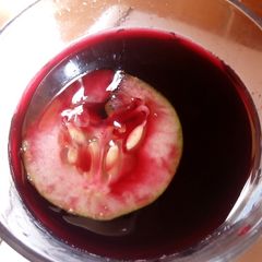 Zobo A picture of Zobo.