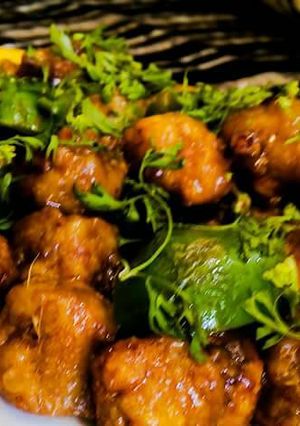 A picture of Soya Chunks Chilli.