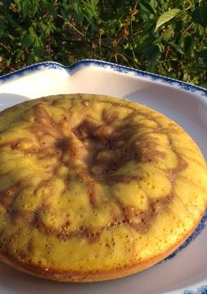 عکسی از دستور کیک زبرا در زودپز برقی 👀😋