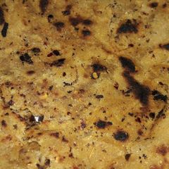 A picture of Garlic butter Paratha.