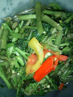Foto resep Tumis KanSelIr (Kangkung Selada Air)
