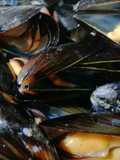 Clochina valenciana al vapor