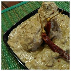 A picture of Shahi white chicken korma.