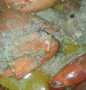 Resep: Kepiting Kuah Santan Menu Enak Dan Mudah Dibuat