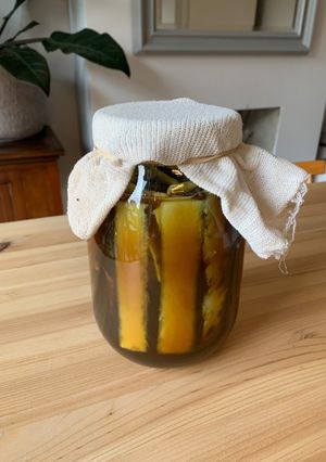 A picture of Tepache experiment - fermented pineapple drink.