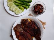 Gambar ikan mujaer kemiri
