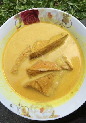 Foto resep Sayur tahu kuah santan