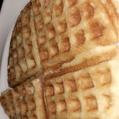 A picture of Waffles.