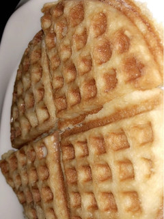 A picture of Waffles.