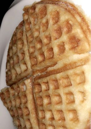 A picture of Waffles.