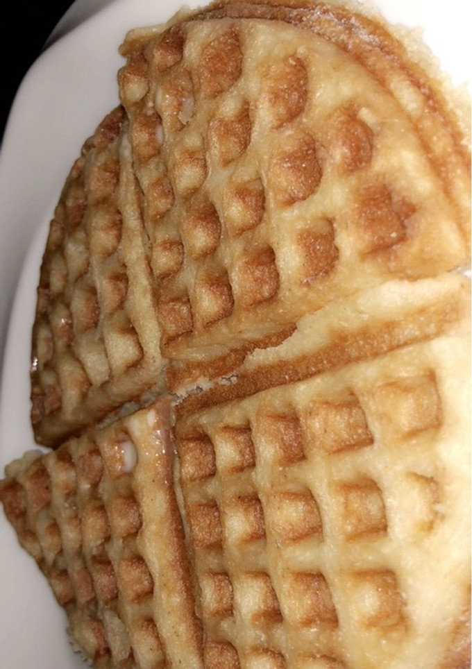 A picture of Waffles.