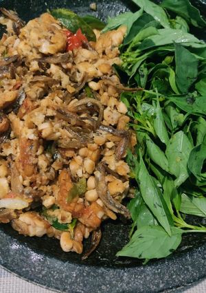 Foto resep Tempe Teri Penyet Sambal Kencur