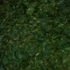 A picture of Osuga.