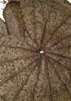 Foto resep Ketan hitam teflon
