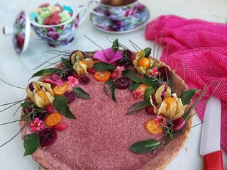 چیز کیک اپونتیا