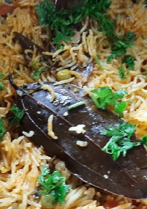 A picture of Vegetables pulao.