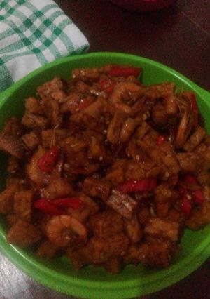 Foto resep Orek Tempe udang / Sambel goreng tempe
