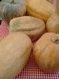 Sopa de calabaza.ॐ