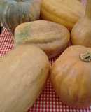 Sopa de calabaza.ॐ