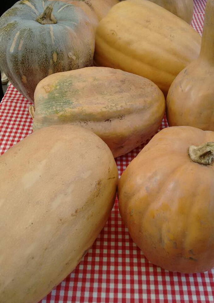 Una foto de Sopa de calabaza.ॐ