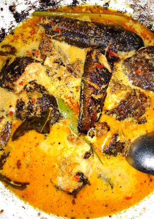 Foto resep Santan gabus bakar