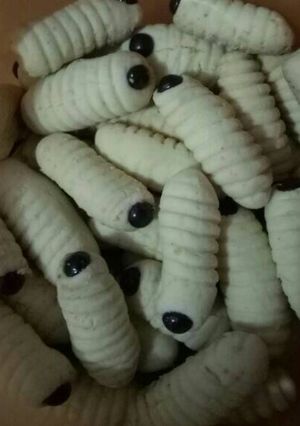 Foto resep Kue Ulat Sagu Keju Renyah