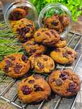 Chocochips Cranberry Chewy Cookies Enak, Cepat dan Mudah