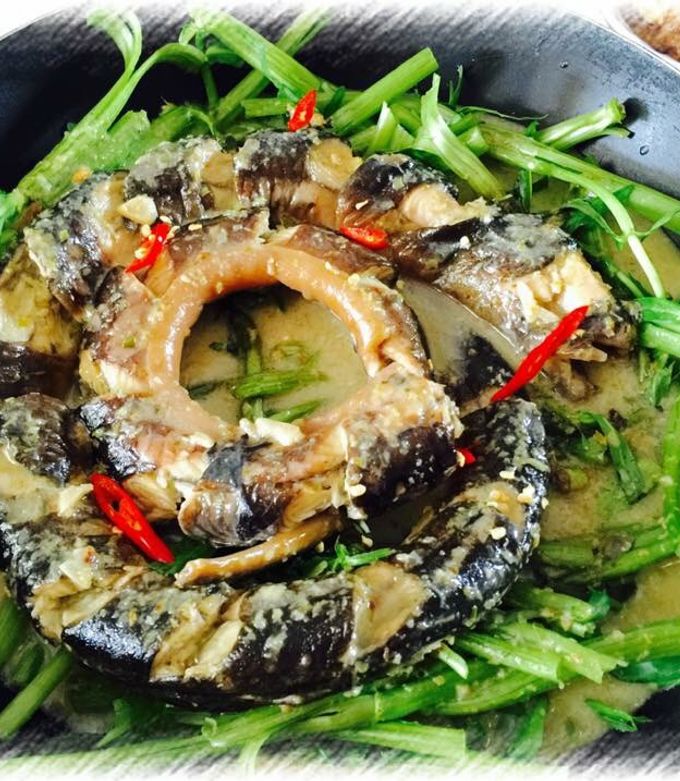 Du lịch Ẩm thực Đặc sản miền T&acirc;y cần thơ, s&oacute;c trăng, hậu giang, ki&ecirc;n giang, an giang, bạc li&ecirc;u, c&agrave; mau, tiền giang, tr&agrave; vinh, bến tre, vĩnh long, đồng th&aacute;p, long an, t&acirc;y ninh | li&ecirc;n hệ Quảng c&aacute;o 0915326788 phuc0915326788@gmail.com