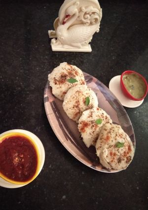 A picture of Moong Dal Idlis.