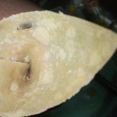 A picture of My samosa wrap/sheets.