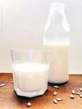 Leche de semillas de girasol: Muy fácil y con todos los trucos para que salga perfecta! (Leche vegetal / Leche Vegana)