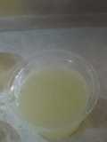 Agar agar dengan susu