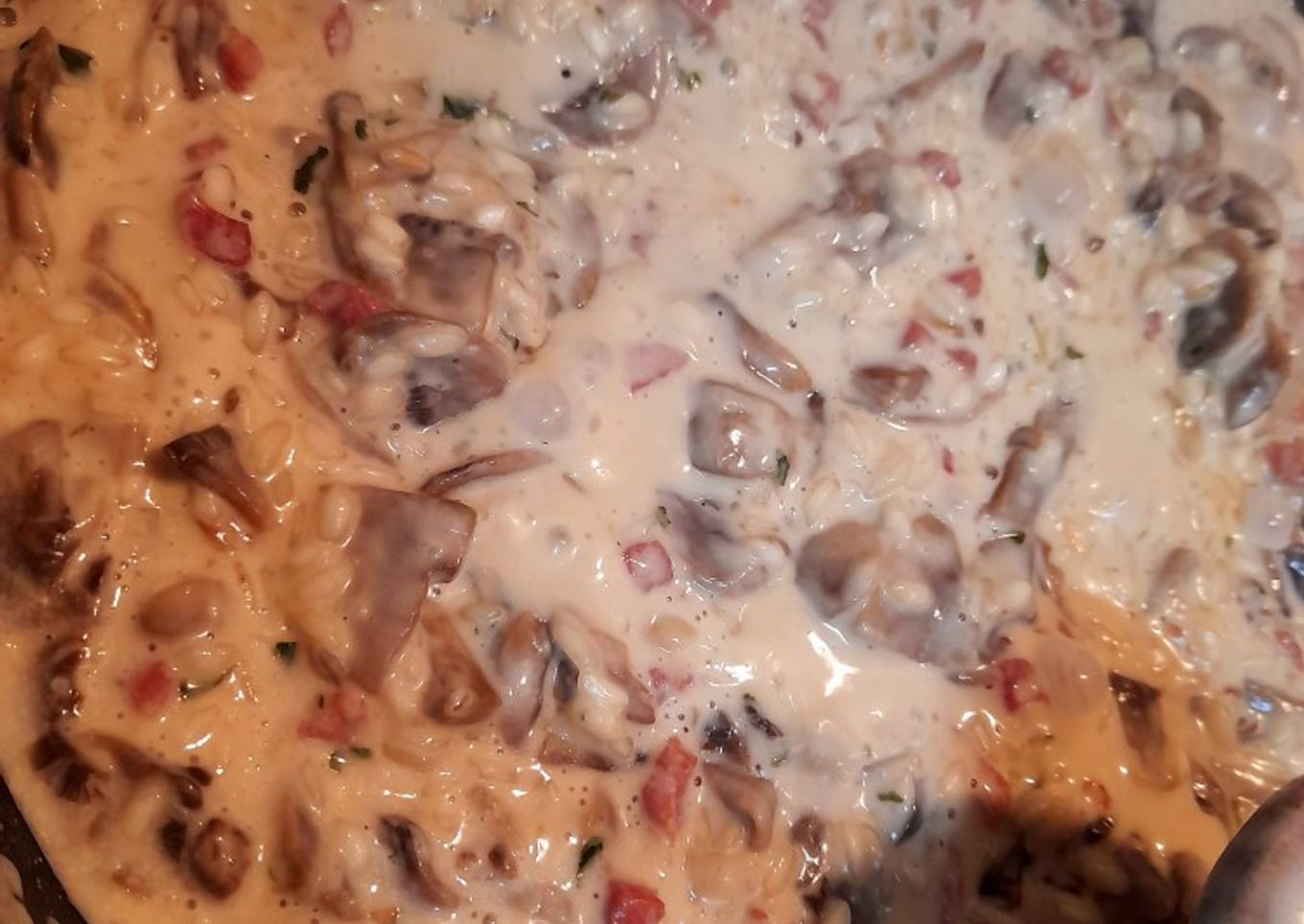 Risotto de champiñones y jamón