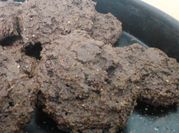 Una foto de dulces con harina de algarroba