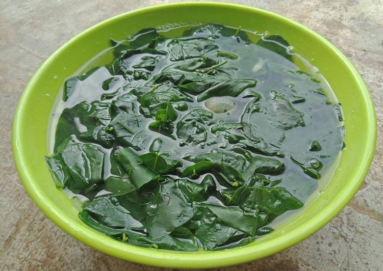 Sayur Bening Daun Katuk