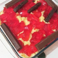 A picture of Custard.