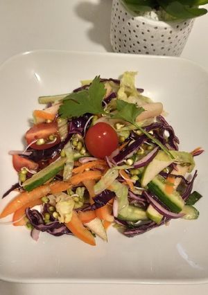 A picture of Rainbow sprout salad.