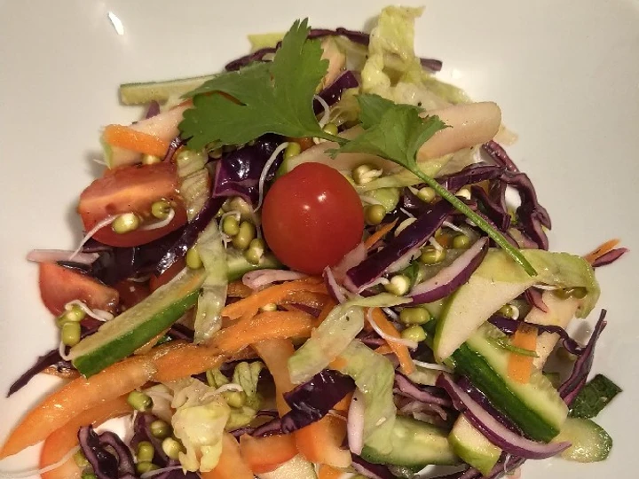 Easy Ways Prepare|Recipe} Rainbow sprout salad Anti-Fail