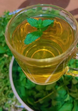 عکسی از دستور دمنوش نعنا با چوب نعنا