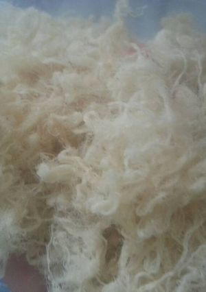 Hình của món Ruốc thịt (chà bông).