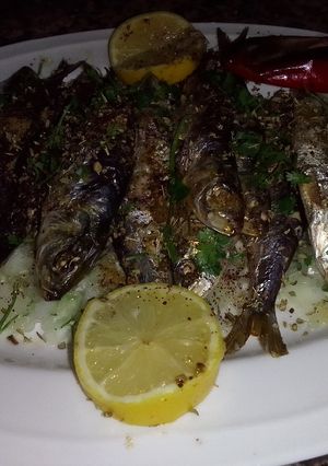 صورة لوصفة سردين مشوي بالفرن مع الزعتر
