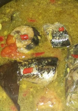 Foto resep Ikan tongkol kuah kuning rasa asam pedas