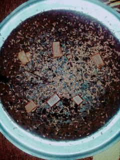 عکسی از دستور کیک شکلاتی