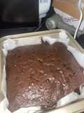 Brownies Panggang Shiny Shimmering Splendid